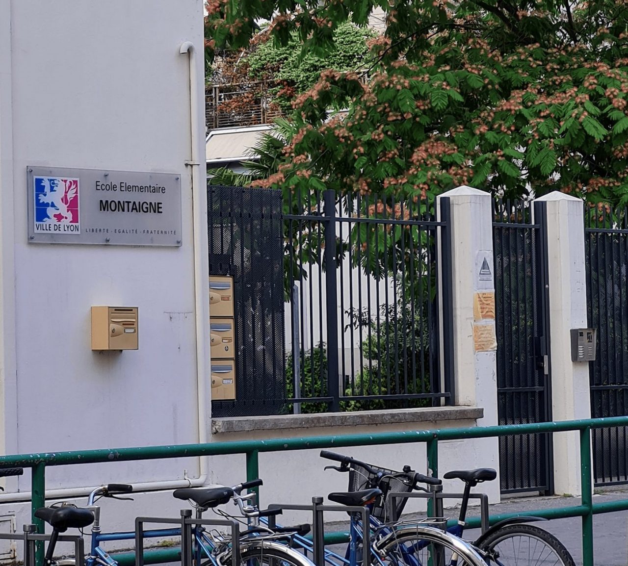 Lyon 6 – EPPU Montaigne