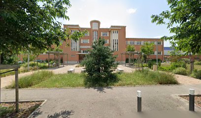 VILLEFRANCHE F Buisson