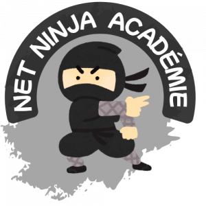 Logo net ninja académie