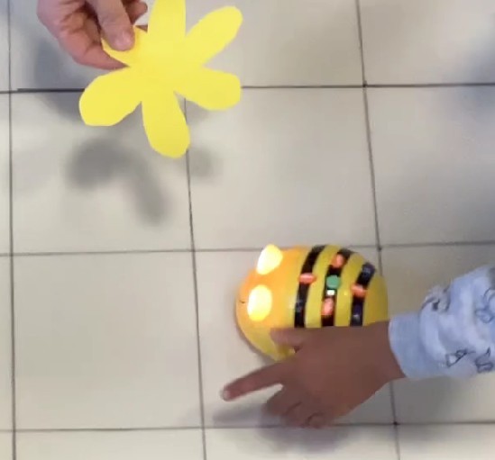 Beebot en atelier